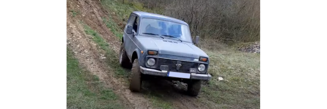 Niva
